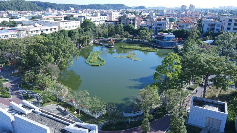 三角鎮(zhèn)中心公園風(fēng)貌